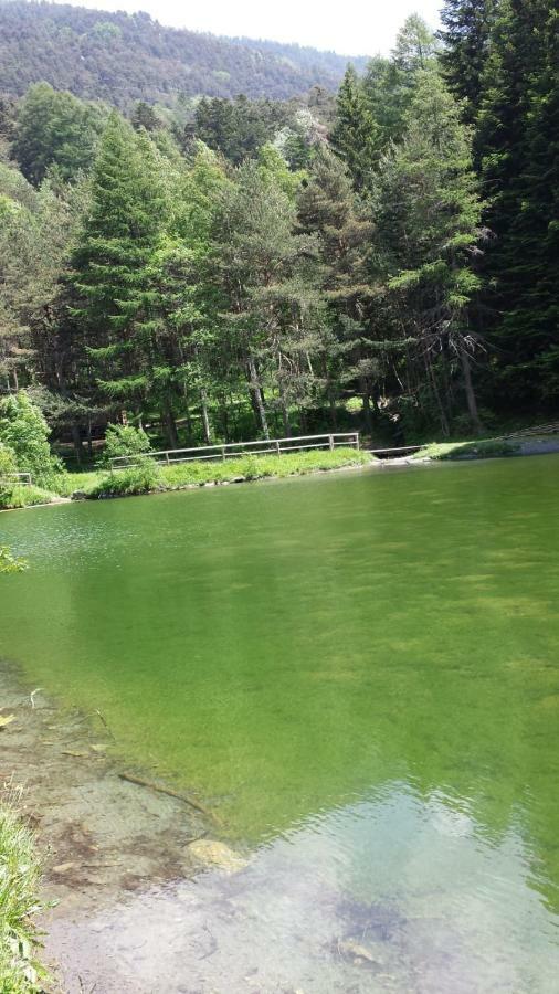 Apartament Il Larice Salbertrand Zewnętrze zdjęcie